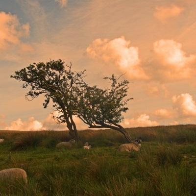 手机买彩票app下载下载手机版